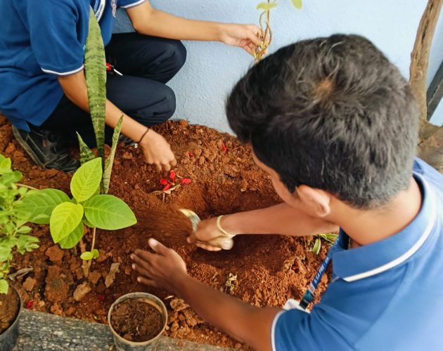 WhatsApp Image 2025-09-18 at 7.03.30 PM (1)