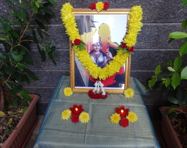 WhatsApp Image 2025-11-01 at 09.40.54