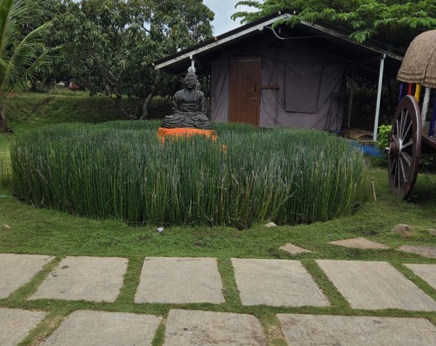 WhatsApp Image 2025-12-04 at 9.35.19 AM (1)