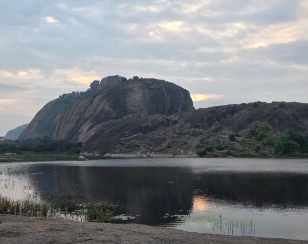 WhatsApp Image 2025-12-04 at 9.38.26 AM