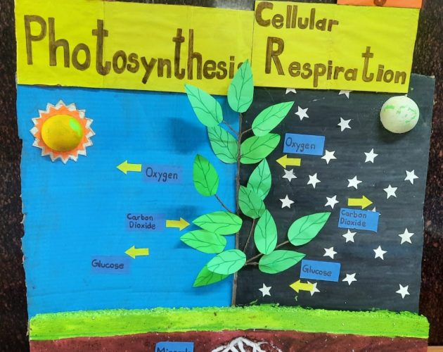 WhatsApp Image 2026-01-20 at 10.07.42 AM (1)