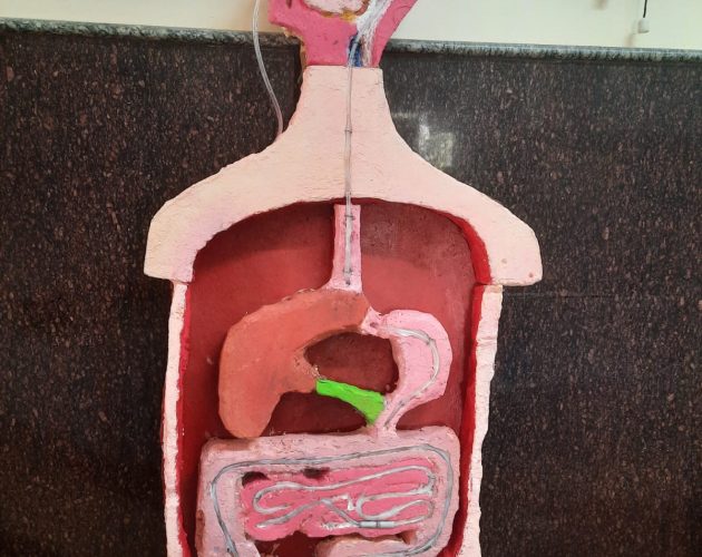 WhatsApp Image 2026-01-20 at 11.58.20 (1)