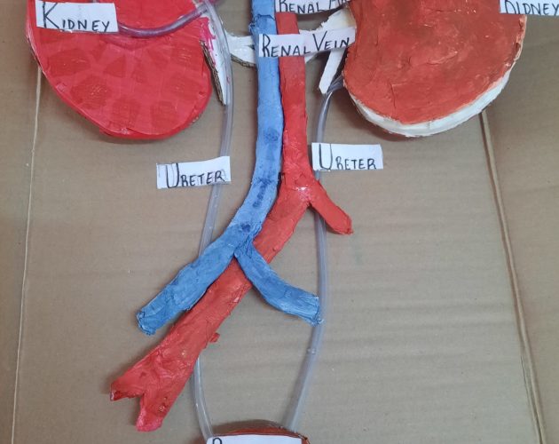 WhatsApp Image 2026-01-20 at 11.58.21