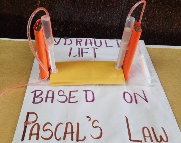 WhatsApp Image 2026-01-20 at 11.58.22