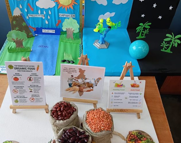 WhatsApp Image 2026-01-20 at 13.31.04