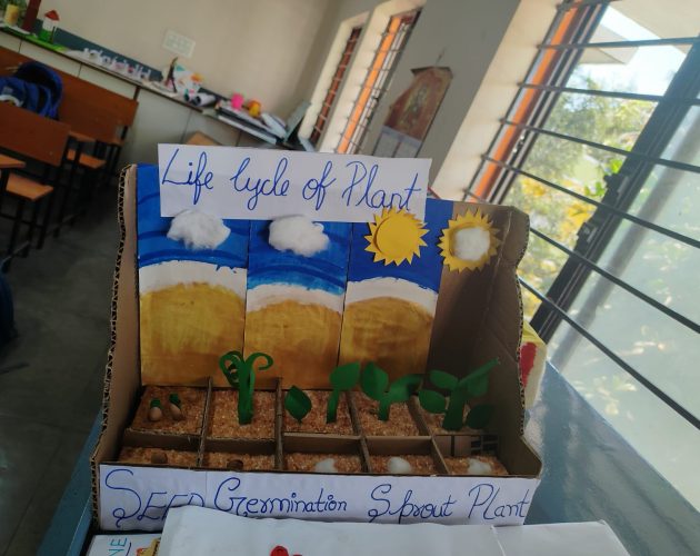 WhatsApp Image 2026-01-20 at 15.59.26